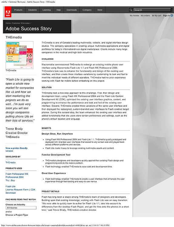 Screenshot: THEmedia case study